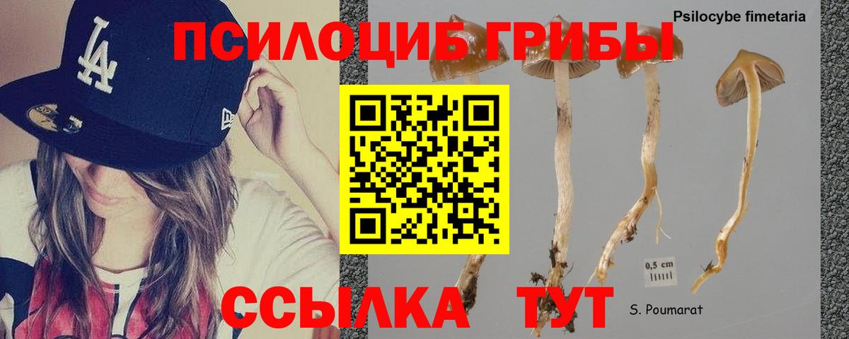 Галлюциногенные грибы прущие грибы Реутов