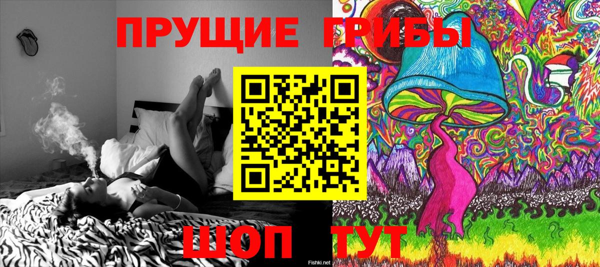Реутов  Псилоцибиновые грибы Cubensis  купить наркотики сайты  Вход с VPN 